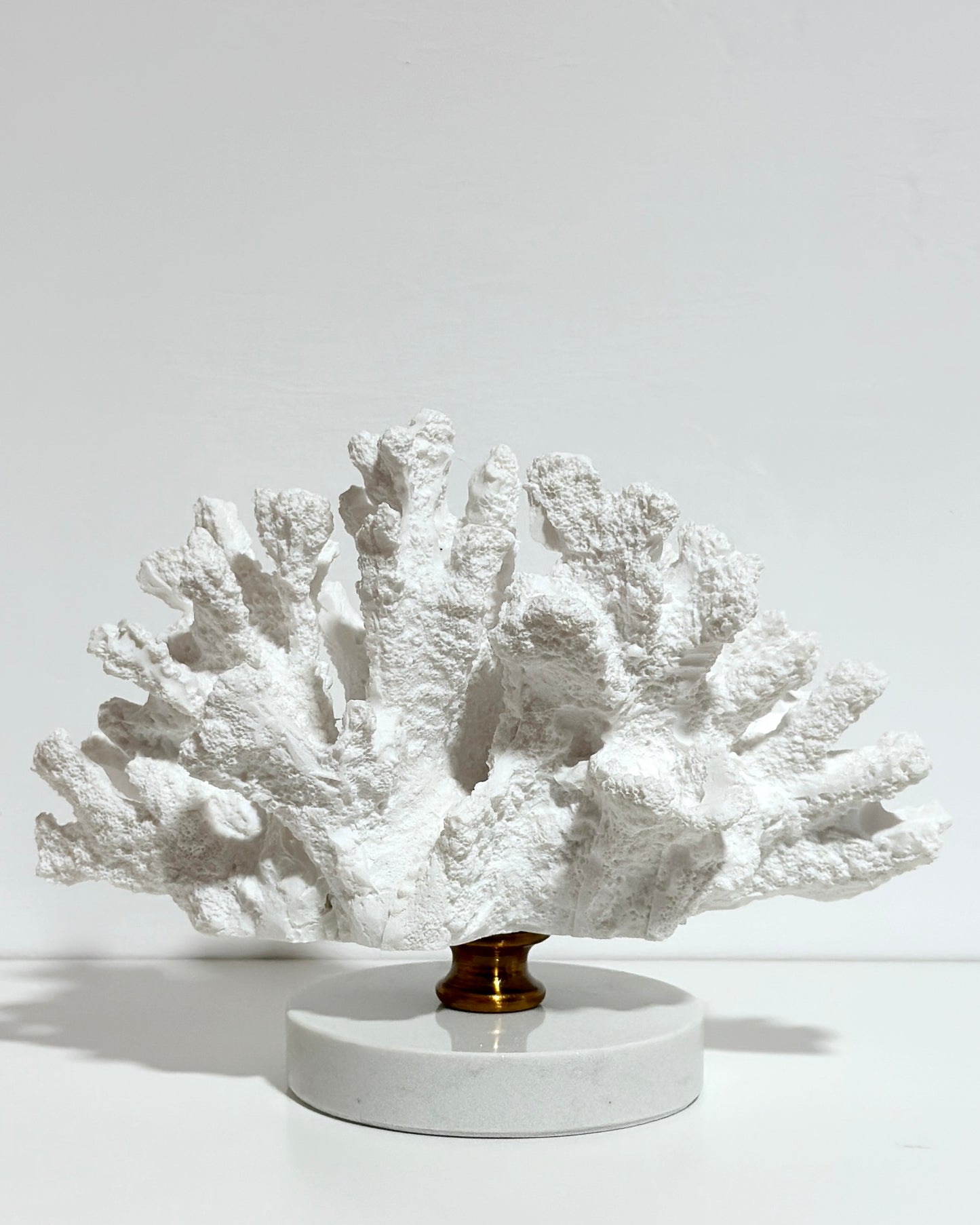 CORALLO BIANCO