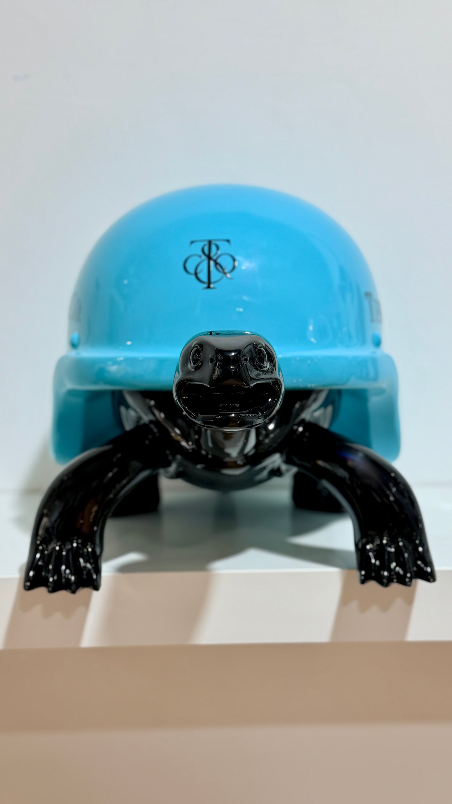 Turtle Sunset Couture -Edizione limitata Pushantigallery