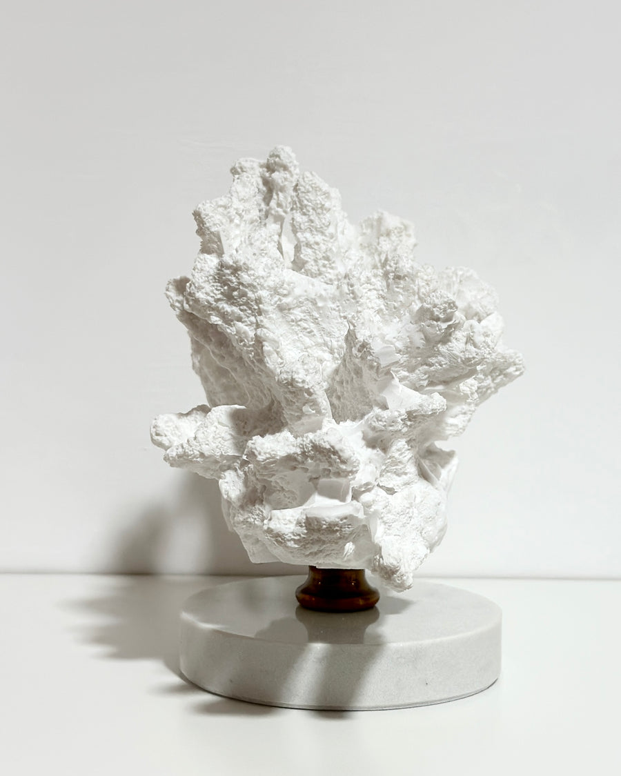 CORALLO BIANCO