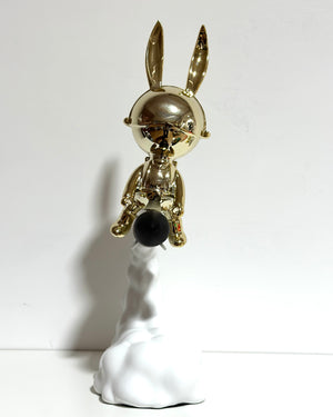 astro bunny