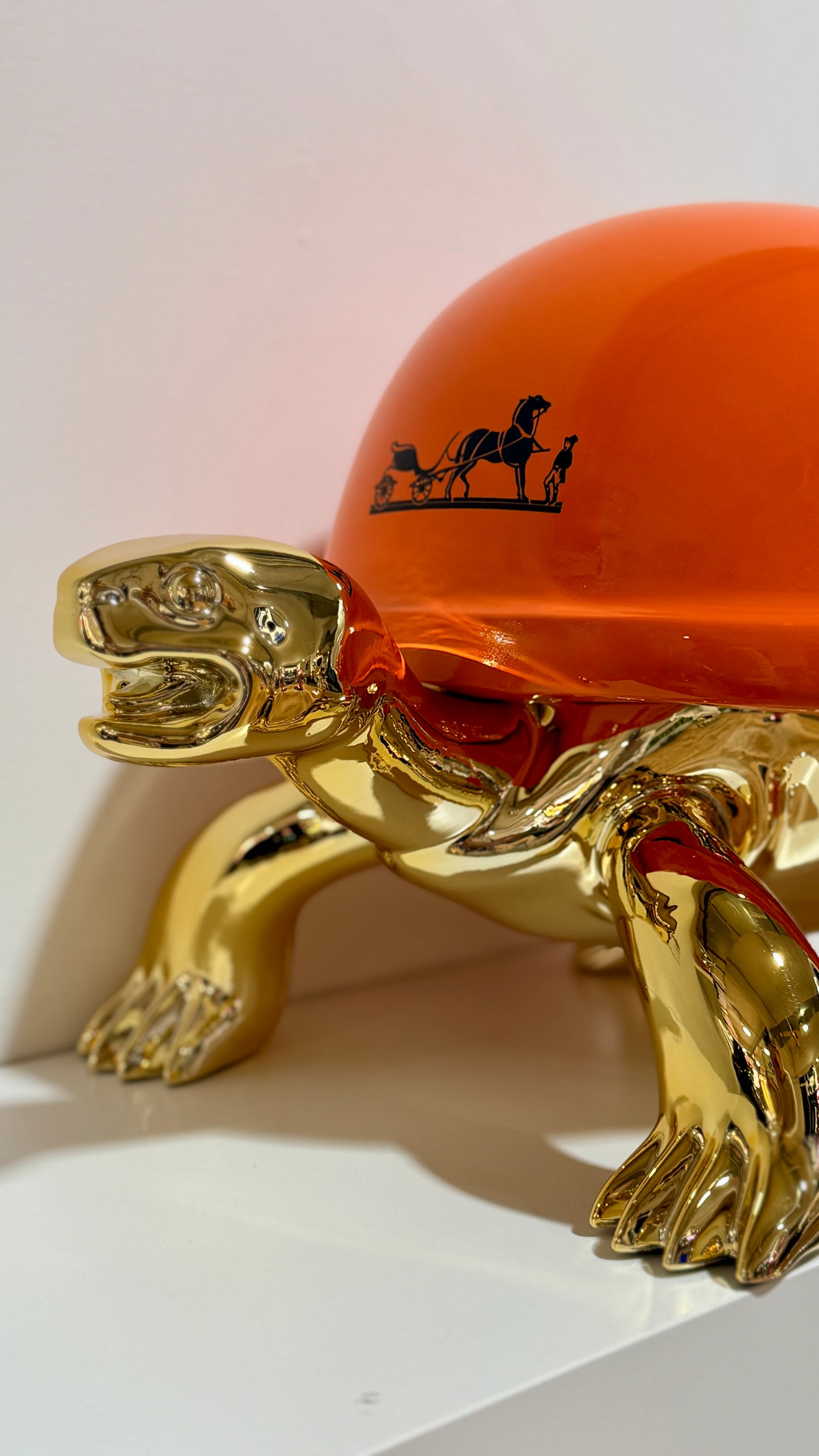 Turtle Gold Flame-Edizione limitata Pushantigallery