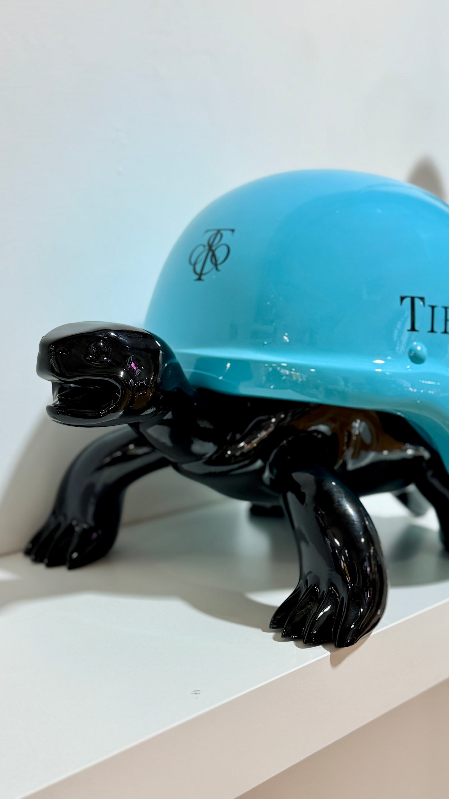 Turtle Sunset Couture -Edizione limitata Pushantigallery
