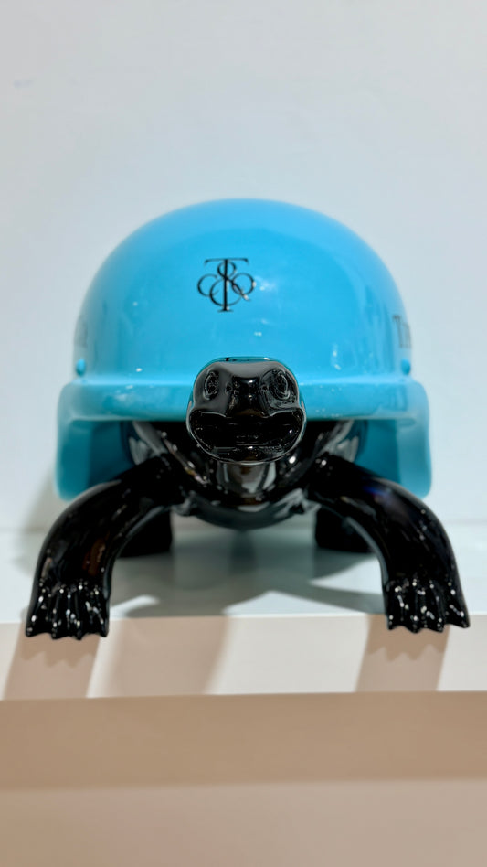 Turtle Sunset Couture -Edizione limitata Pushantigallery